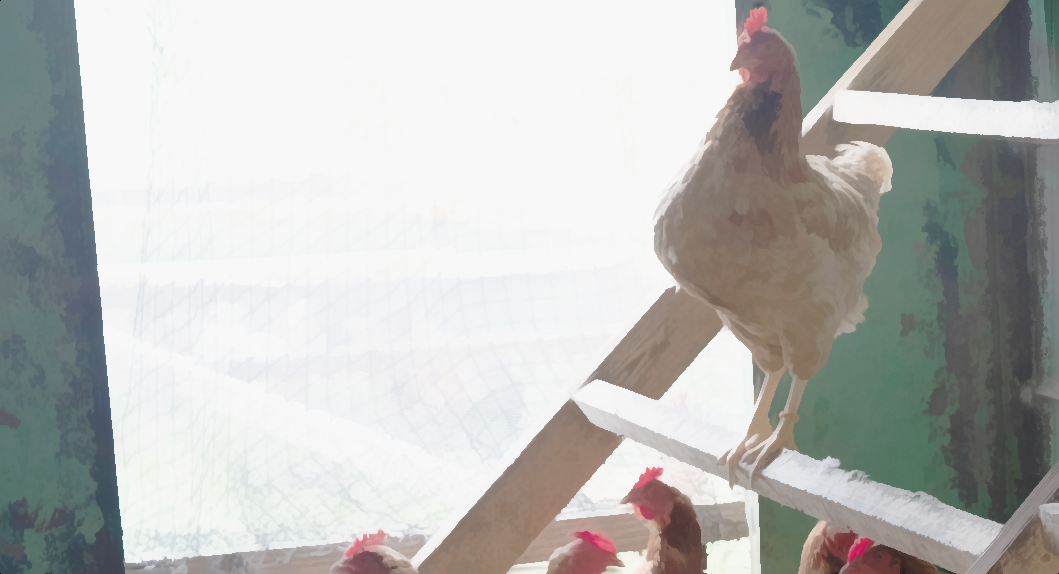 Expecting Chickens to Roost