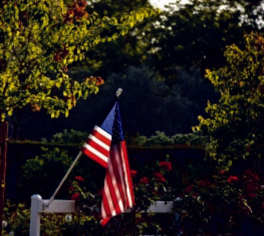 It's Our Flag too, Dammit