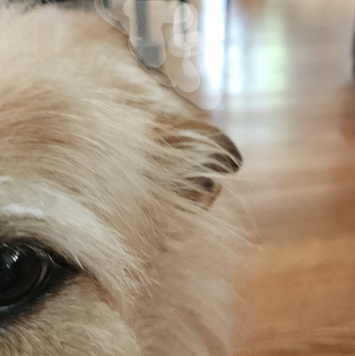 The Horror of Kristi Noem